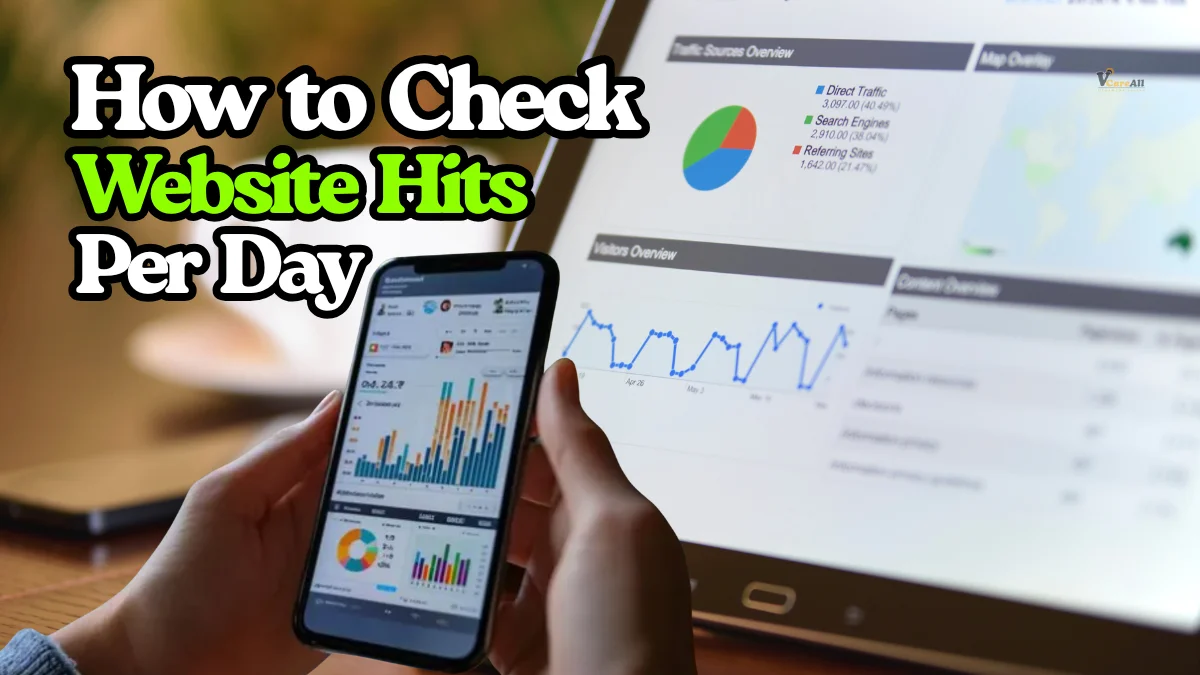 How to Check Website Hits Per Day